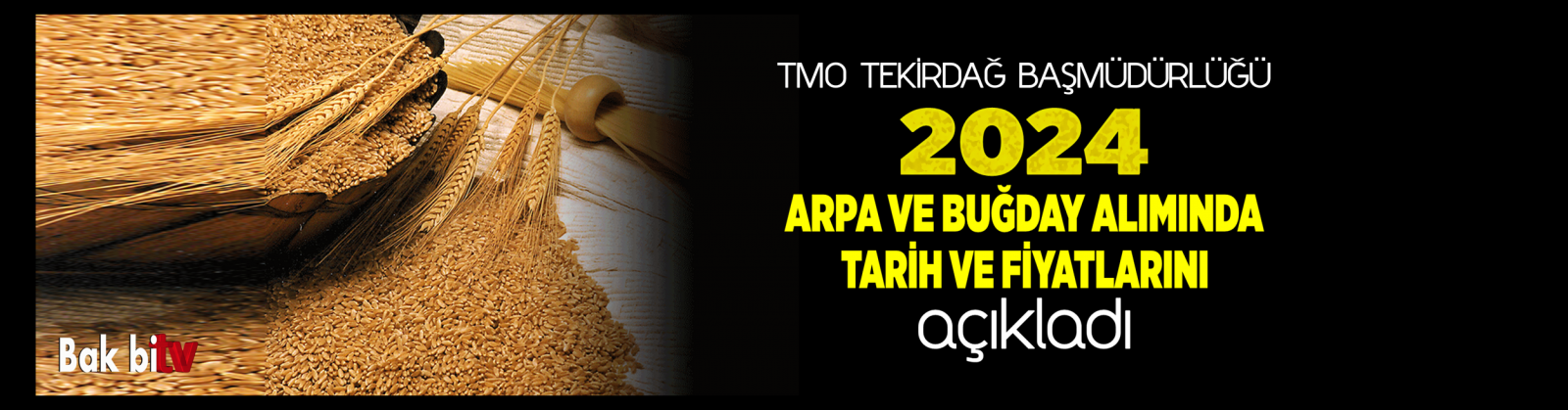 TMO TEKİRDAĞ BAŞMÜDÜRLÜĞÜ 2024 ARPA VE BUĞDAY ALIMINDA TARİH VE FİYATLARINI AÇIKLADI